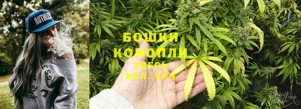 твердый Новокубанск