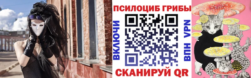 МЕГА зеркало  Сосновка  Псилоцибиновые грибы прущие грибы 