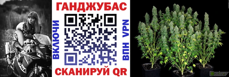 Каннабис индика  Сосновка 